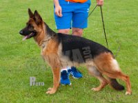 Cara-av-Aursmoen-HAS2019-7189
