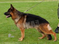 Chijas-Hector-HAS2019-7928