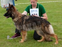Crympe-Guffe-HAS2019-6243