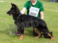 Crympe-Hoste-HAS2019-6162
