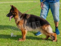 Elles-vom-Haus-Jera-HAS2019-6999