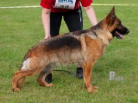 Hatanis-Petra-HAS2019-6373