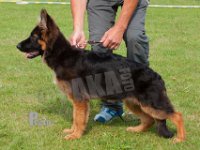 Haus-Lints-Shiva-HAS2019-6164