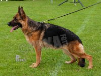 Haus-Lintz-Kiwi-HAS2019-7866