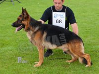Haus-Lintz-Owen-HAS2019-7491