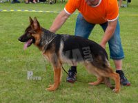 Haweto-Laban-HAS2019-6737