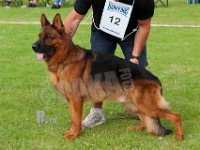 Jack-von-den-Klosterpatzen--HAS2019-7949