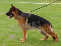 Karats-Dando-HAS2019-6810
