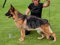 Kratmosens-Amal-HAS2019-7251