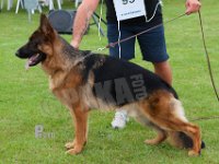 Kratmosens-Arnold-HAS2019-6276