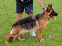 Kratmosens-Athena-HAS2019-7172