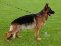Kratmosens-Wladimir-HAS2019-7484