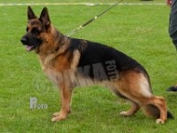 Leri-Uso-HAS2019-7431