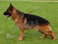 Maacks-Harley-HAS2019-7905