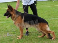 Olexius-Aikon-HAS2019-6334