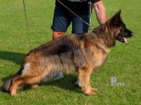 Olexius-Zhyla-HAS2019-7038