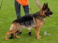 Rapi-Nala-HAS2019-7389