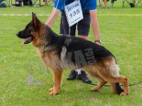 Superioues-Capac-HAS2019-6815
