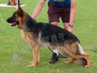 Superioues-Cinchi-Roca-HAS2019-6258