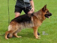 Team-Jomere-Aslan-HAS2019-7624