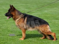 Team-Pakas-Gekko-140919-8054