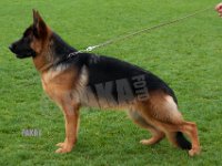 Team-Pakas-Ornella-061018-4970