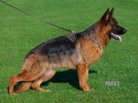 Team-Pakas-Xanthia-170916-8397