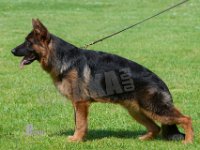 Team-Rapi-Oslo-020619-5886