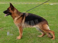 Team-Sajo-Filippa-HAS2019-7830