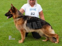 Thomsebo-Viza-HAS2019-7381