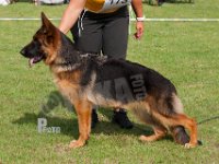 Thomsebo-Yana-HAS2019-6127