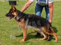 Thomsebo-Youton-HAS2019-6694