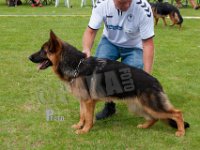 Thornblads-Tiana-HAS2019-6764
