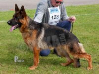 Thornsblads-Saga-HAS2019-6105