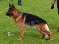 Vennebjergs-La-Bomba-HAS2019-7634