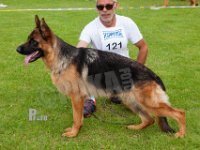 Vesterlund-Ulme-HAS2019-7202