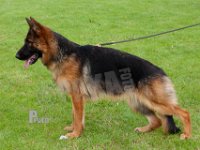 Walkinis-Yava-HAS2019-7176