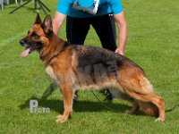 Team-Marlboro-Tasha-HAS2019-7670